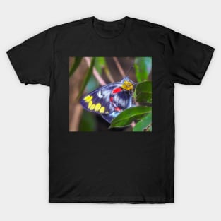 Imperial Jezebel Butterfly T-Shirt